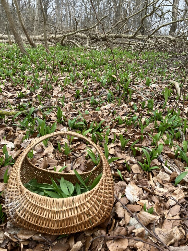 Image #1 from Christina Kråkevik Åberg