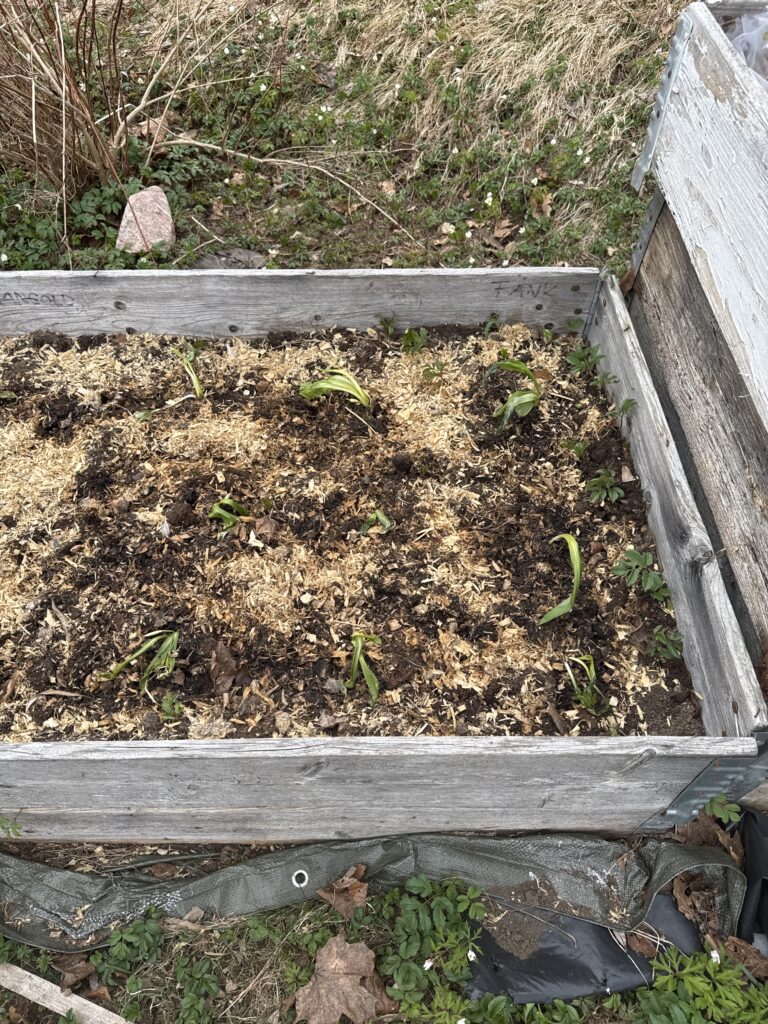 Image #1 from Marita Friman